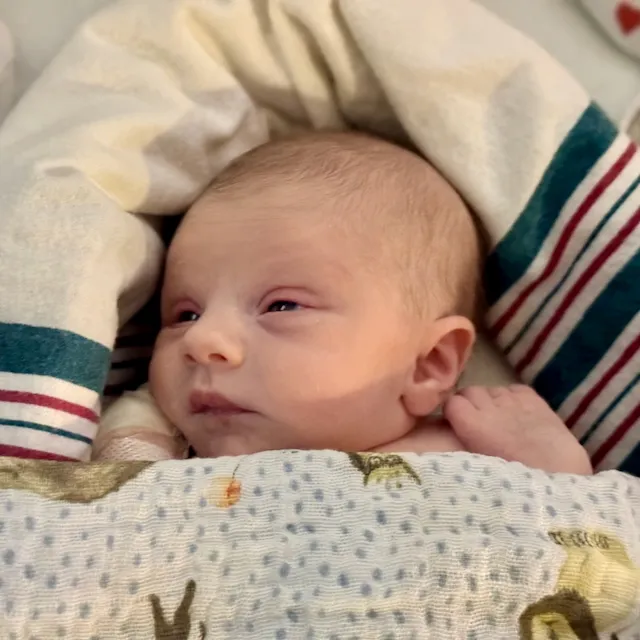 Phoebe photo 5